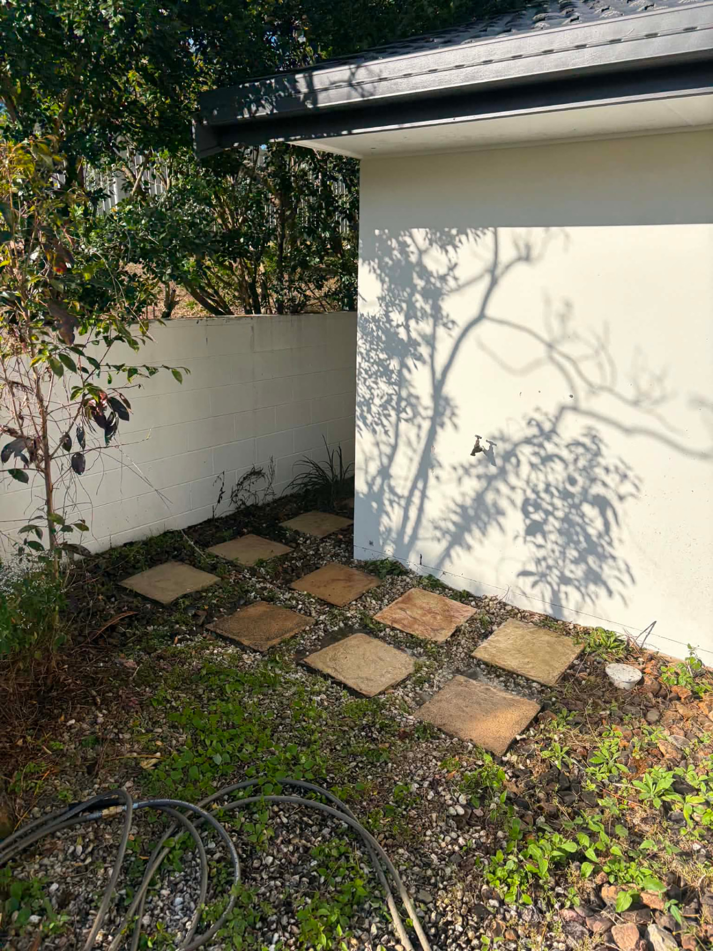 Same corner cleared, pavers exposed and beds tidied