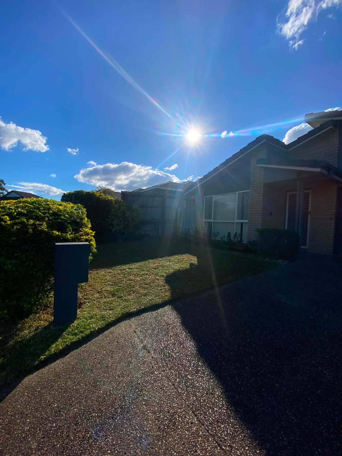 Freshly cut front yard and driveway in afternoon sun