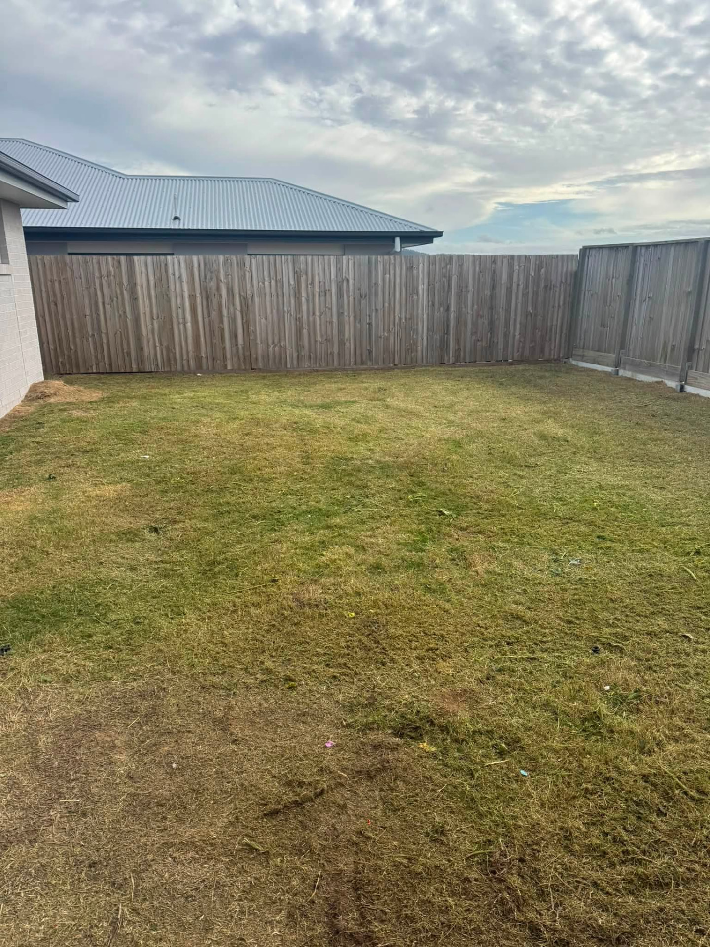 Freshly mown backyard with neat fenceline and new home