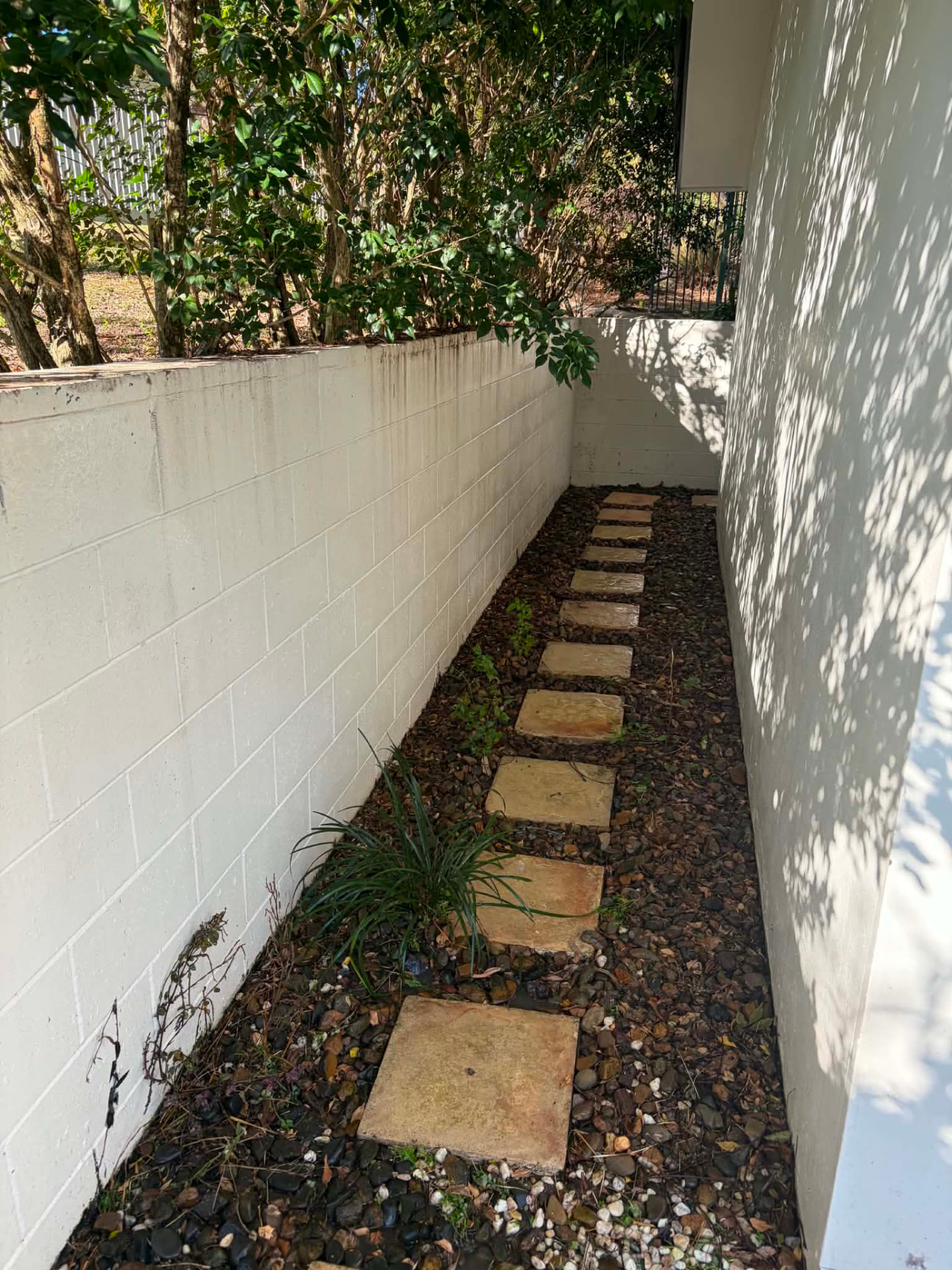 Same side path with pebbles and pavers cleaned back
