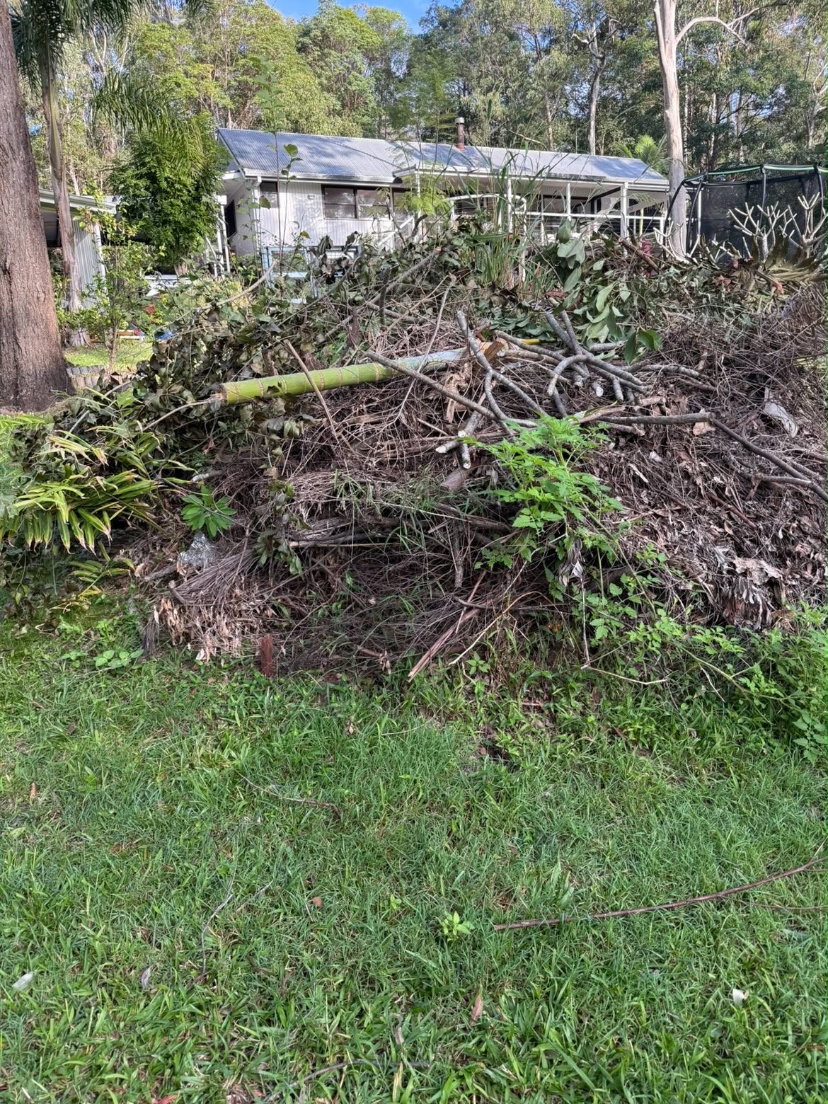 Large pile of cut branches and palm fronds ready for removal