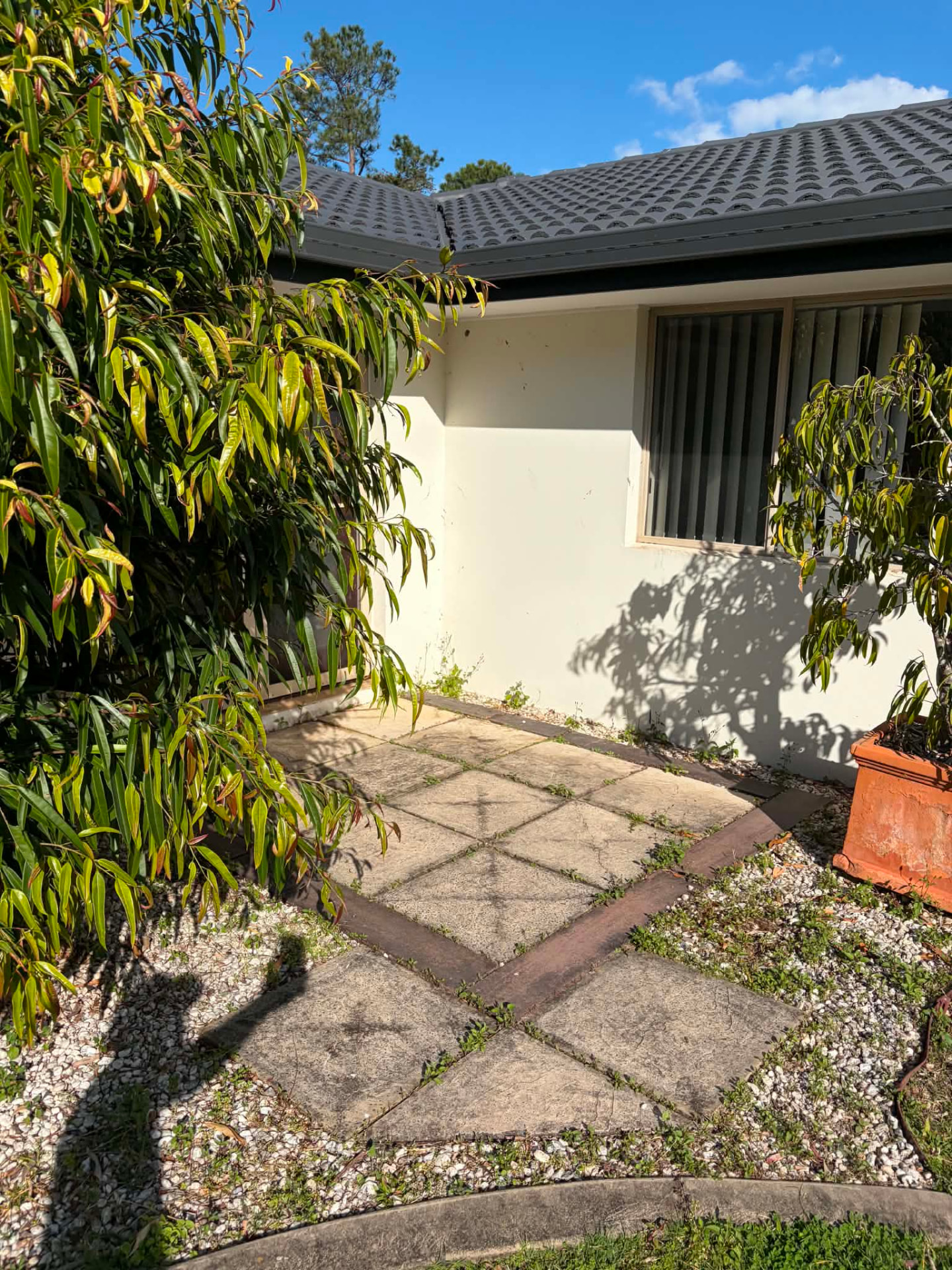 Entry patio pavers with weeds and grime