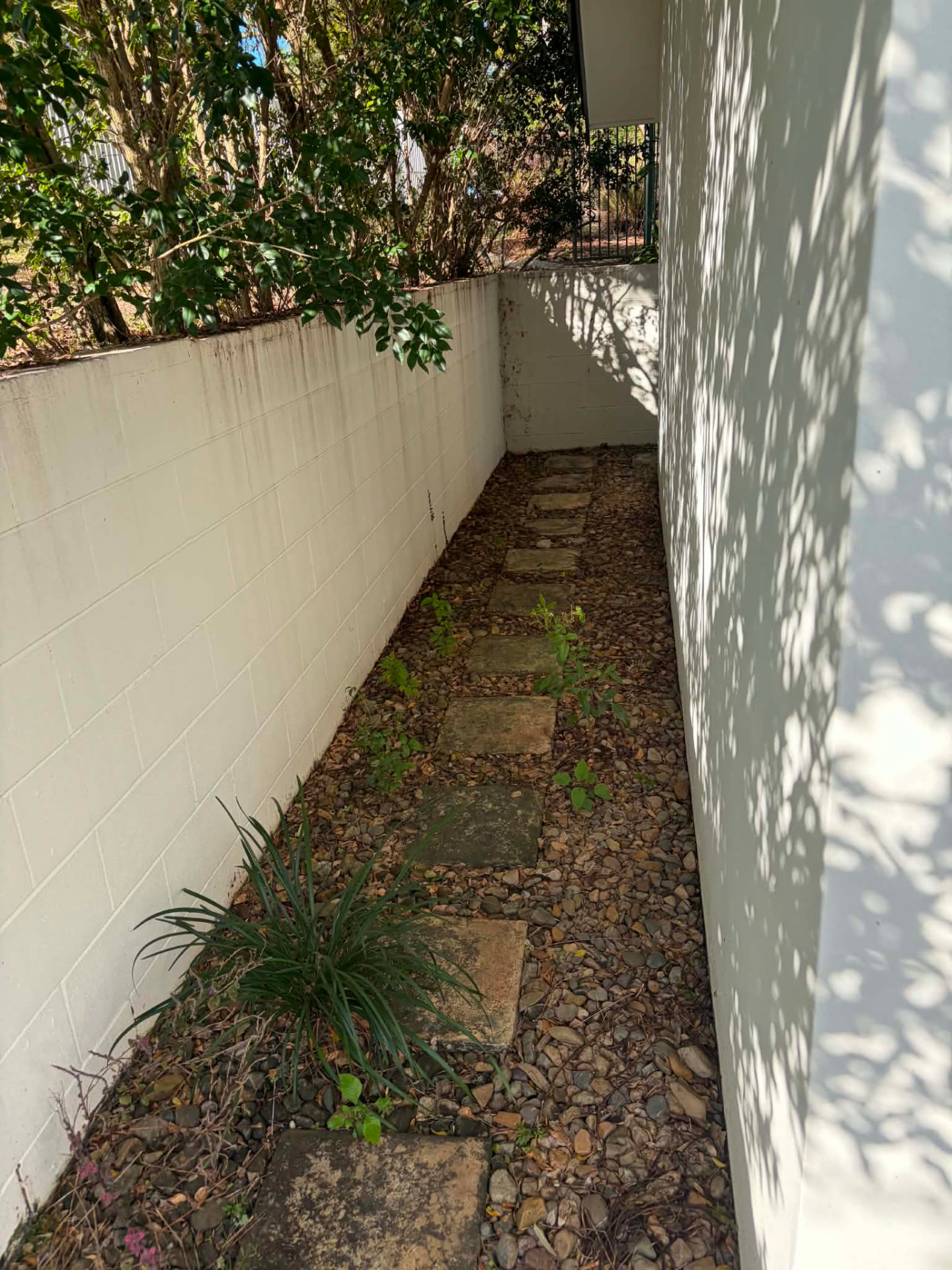 Narrow side path with weeds through the pebbles