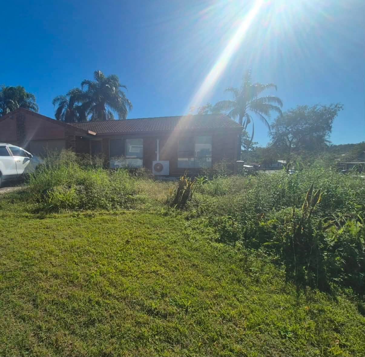 Front yard before landscaping refresh — overgrown weeds and untidy lawn